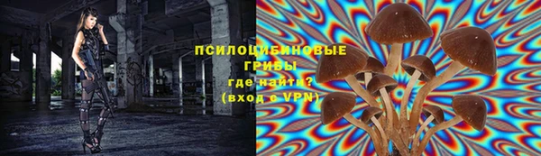 мдма Медвежьегорск