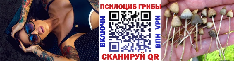 Галлюциногенные грибы GOLDEN TEACHER  цена   Харабали 