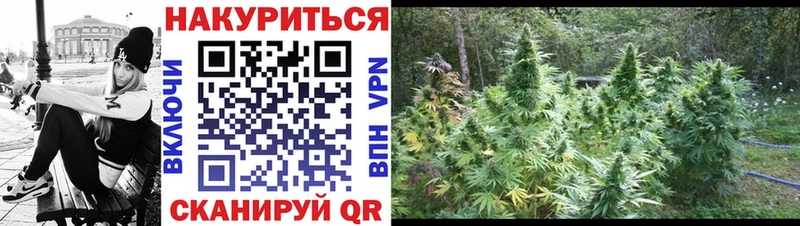 Бошки Шишки THC 21% где найти наркотики Харабали